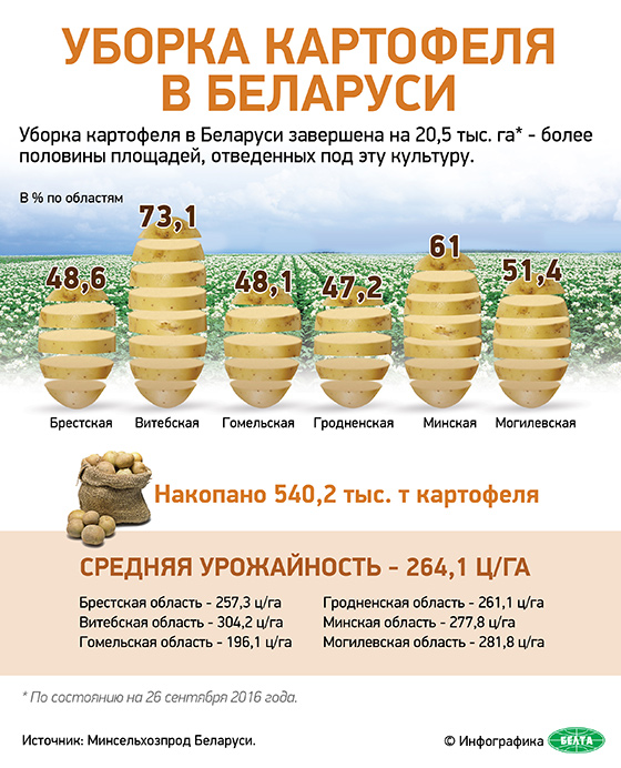 Уборка картофеля в Беларуси