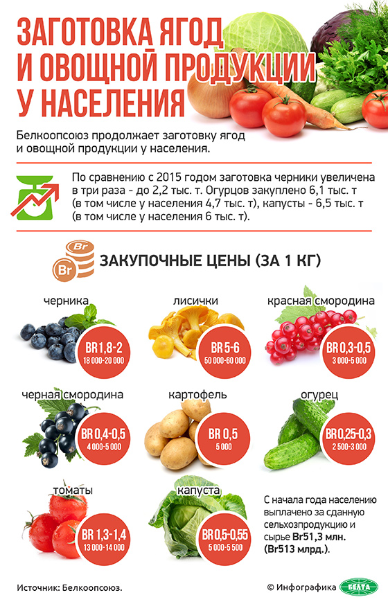 Заготовка ягод и овощной продукции у населения