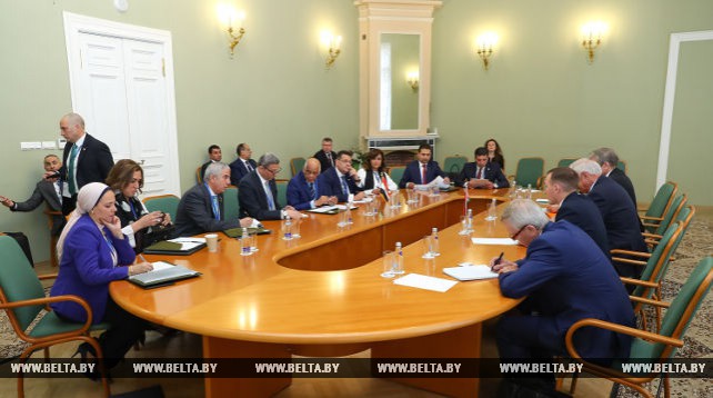 Встреча Мясниковича с председателем Парламента Египта