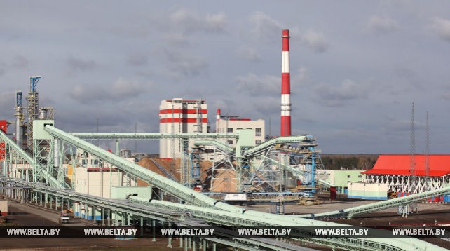 Завод по производству сульфатной беленой целлюлозы в Светлогорске введут в строй в ноябре