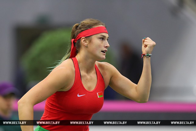 Арина Соболенко победила Слоан Стивенс и сравняла счет в финале FedCup-2017 - 1:1