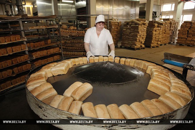 Производство сухаря армейского наладили на Новополоцком хлебозаводе