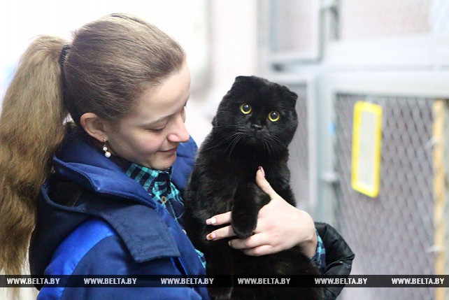 В Минске работает первая государственная гостиница для животных