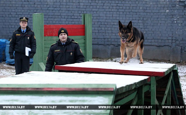 Четыре собаки несут дежурство в Ленинском райотделе Департамента охраны Могилева