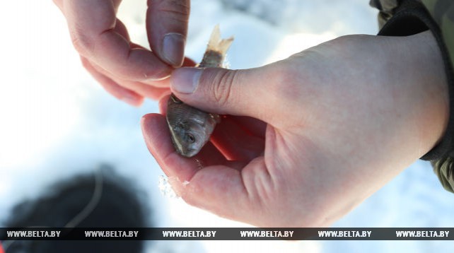 Зимняя рыбалка под Минском