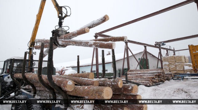 Деревообрабатывающий цех "Вендорож" Могилевского лесхоза имеет полный цикл переработки