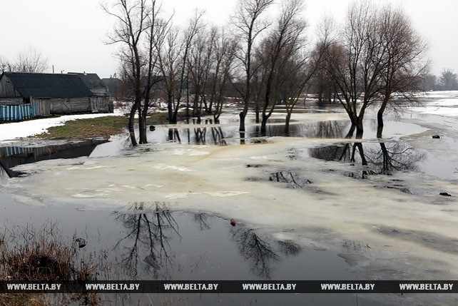 Уровень воды в реках Гомельской области увеличивается до 12 см в сутки