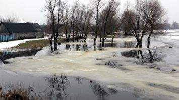 Уровень воды в реках Гомельской области увеличивается до 12 см в сутки