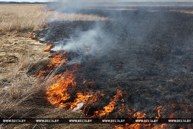 В Ивьевском районе произошли возгорания травы