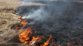 В Ивьевском районе произошли возгорания травы