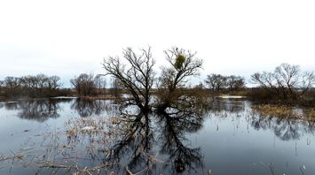 Весеннее половодье