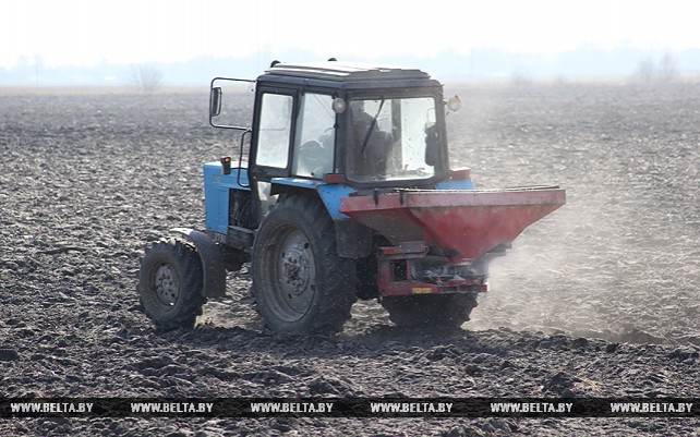 В ОАО "Туровщина" завершают подготовку почвы под сев ультрараннего сорта зеленого горошка