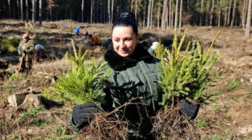 Около 200 тыс. саженцев высадят в Могилевском лесхозе во время Недели леса