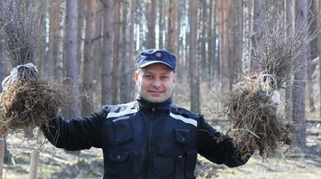 Сотрудники управления ГКСЭ по Гомельской области приняли участие в посадке леса