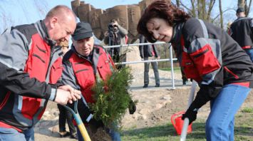 Наталья Кочанова приняла участие в посадке туй в районе Софийского собора