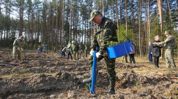 Андрей Кобяков принял участие в посадке леса в Акинчицком лесничестве Столбцовского лесхоза