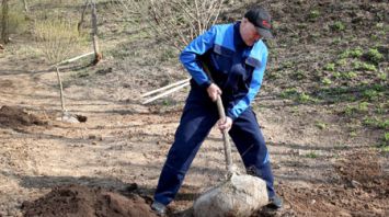 Лукашенко принял участие в субботнике