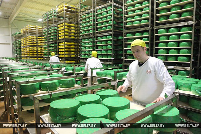 Рогачевский МКК ежемесячно производит до 900 т сыра