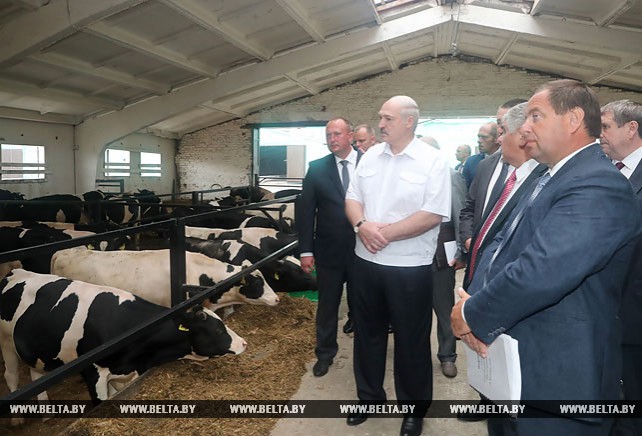 Лукашенко посетил организации в Шкловском районе, входящие в структуру агрохолдинга "Купаловское"