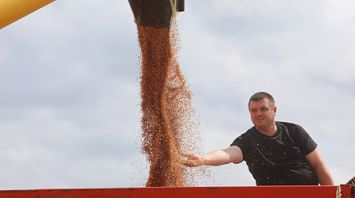 Хлеборобы Витебского района приступили к уборке зерновых