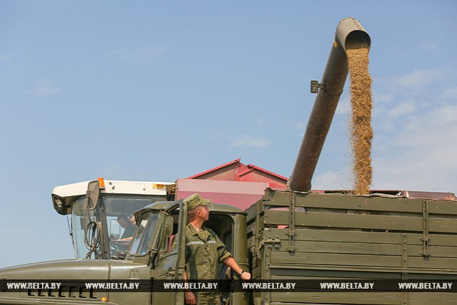 Военные помогают на уборке урожая в Минской области