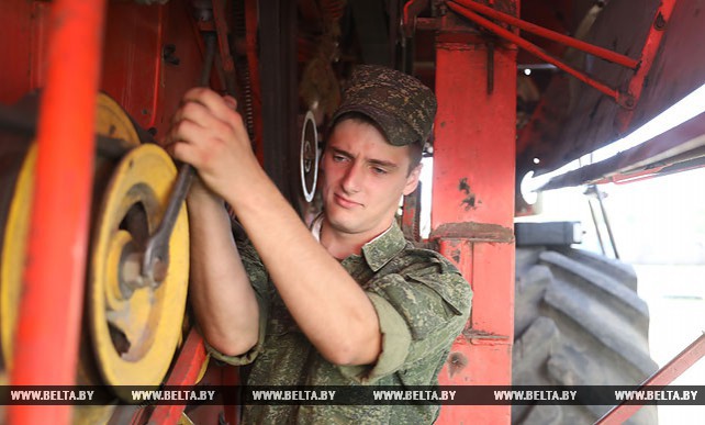 В Мстиславском районе военнослужащие помогают на уборке урожая