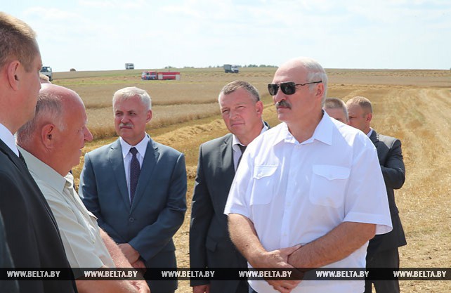 Лукашенко ознакомился с организацией уборки зерновых в Минском районе