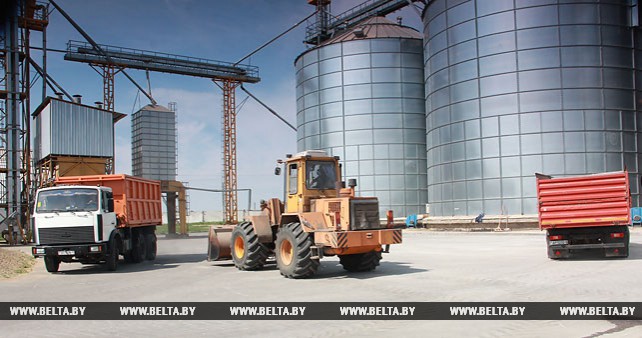 Более 68% площадей зерновых убрано в Минской области