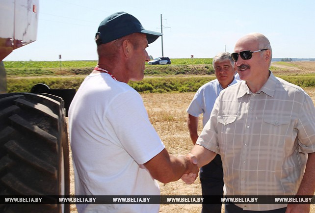 Лукашенко посетил сельхозугодия ОАО "Александрийское"