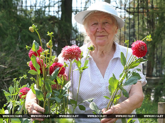 Научный сотрудник Ботанического сада Ирина Коревко 50 лет выращивает георгины