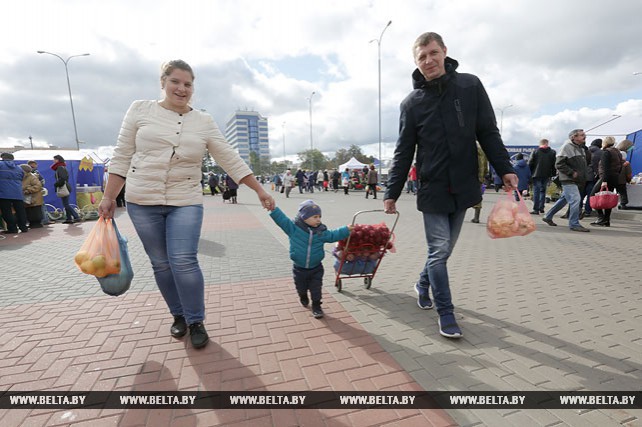 Большая сельхозярмарка прошла у "Чижовка-арены"