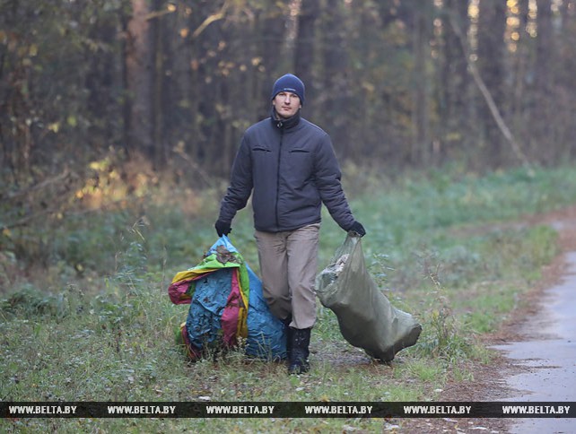 Сотрудники УСК по Витебской области приняли участие в акции "Чистый лес"