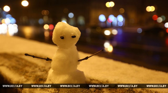 В Беларуси выпал снег