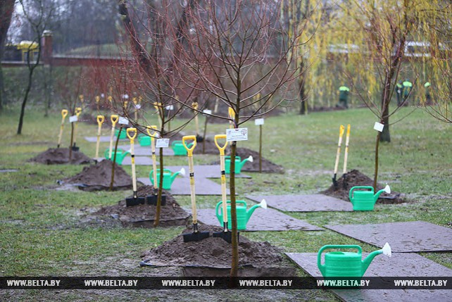 Деревья в честь 150-летия со дня рождения Ганди посадили в Лошицком парке