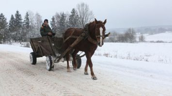 Зима в Беларуси