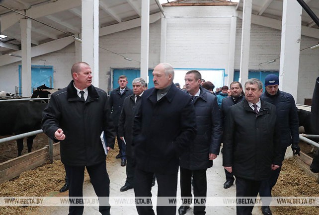 Лукашенко посетил молочно-товарный комплекс "Слижи" в Шкловском районе
