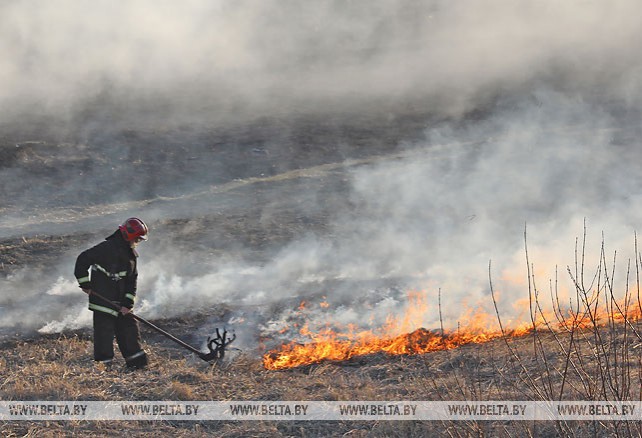Сотрудники МЧС ликвидировали очаг возгорания сухой травы вдоль трассы Орша-Могилев