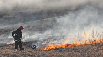 Сотрудники МЧС ликвидировали очаг возгорания сухой травы вдоль трассы Орша-Могилев