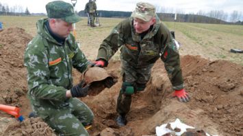 Поиск останков воинов, погибших в 1941 году, ведется в Могилевском районе