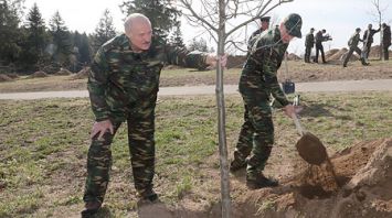 Лукашенко принял участие в посадке деревьев на "Линии Сталина"