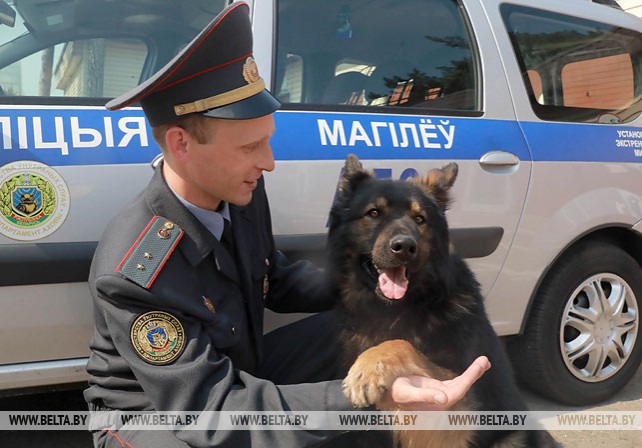 В Могилевском областном управлении Департамента охраны несут службу 72 собаки