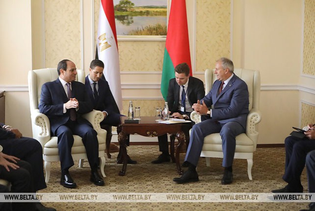 Румас встретился с Президентом Египта