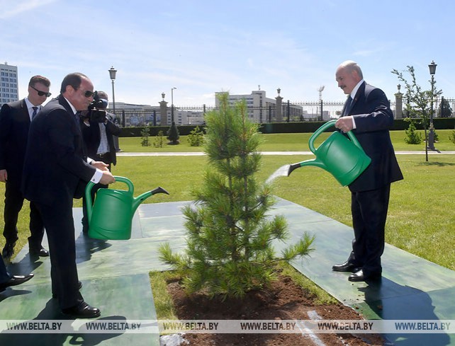 Абдель Фаттах ас-Сиси посадил дерево на Аллее почетных гостей у Дворца Независимости