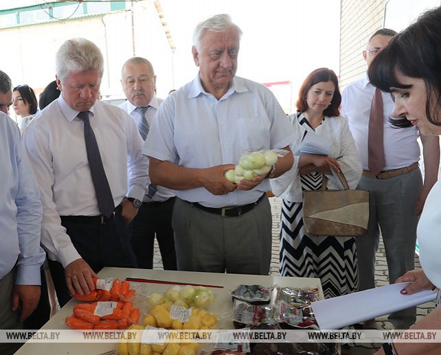 Мясникович ознакомился с производством новых видов растениеводческой продукции в хозяйстве "Фортуна Агро"