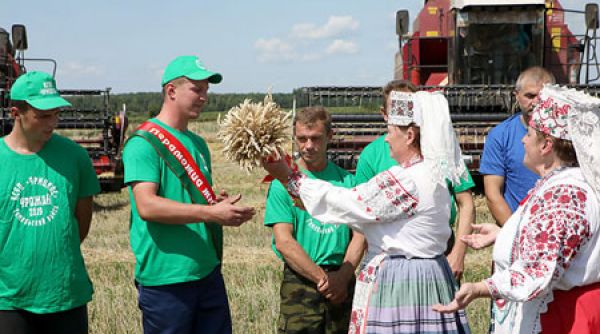 Водители Гомельского района первыми в области перевезли 1 тыс. т зерна нового урожая