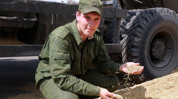 Армия помогает в уборке зерновых хозяйствам Мстиславского района