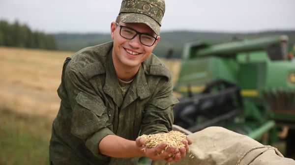 Военная техника трудится на полях Свислочского района