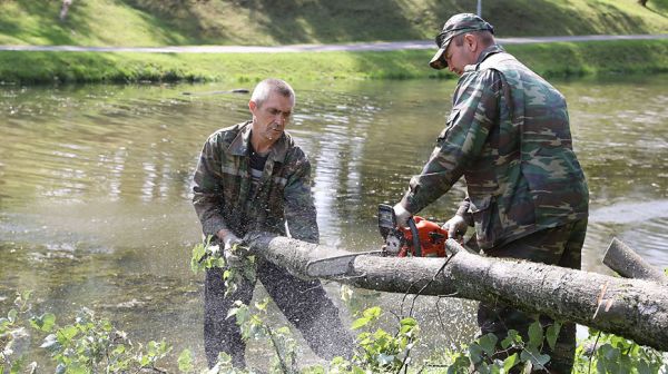 Последствия циклона ликвидируют в Витебске