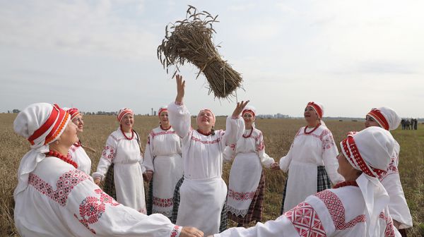 Праздник хлеборобов прошел в Оршанском районе