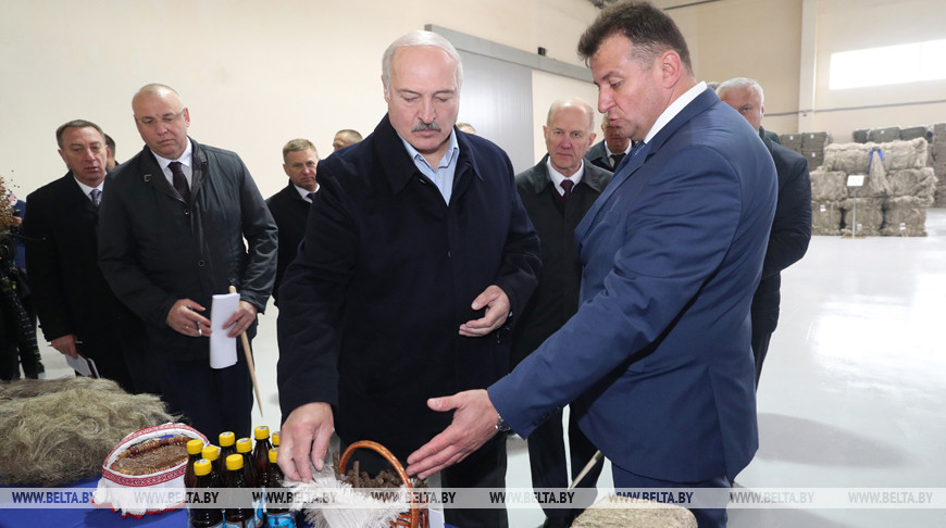 Лукашенко подчеркивает возможность рентабельной работы льняной отрасли